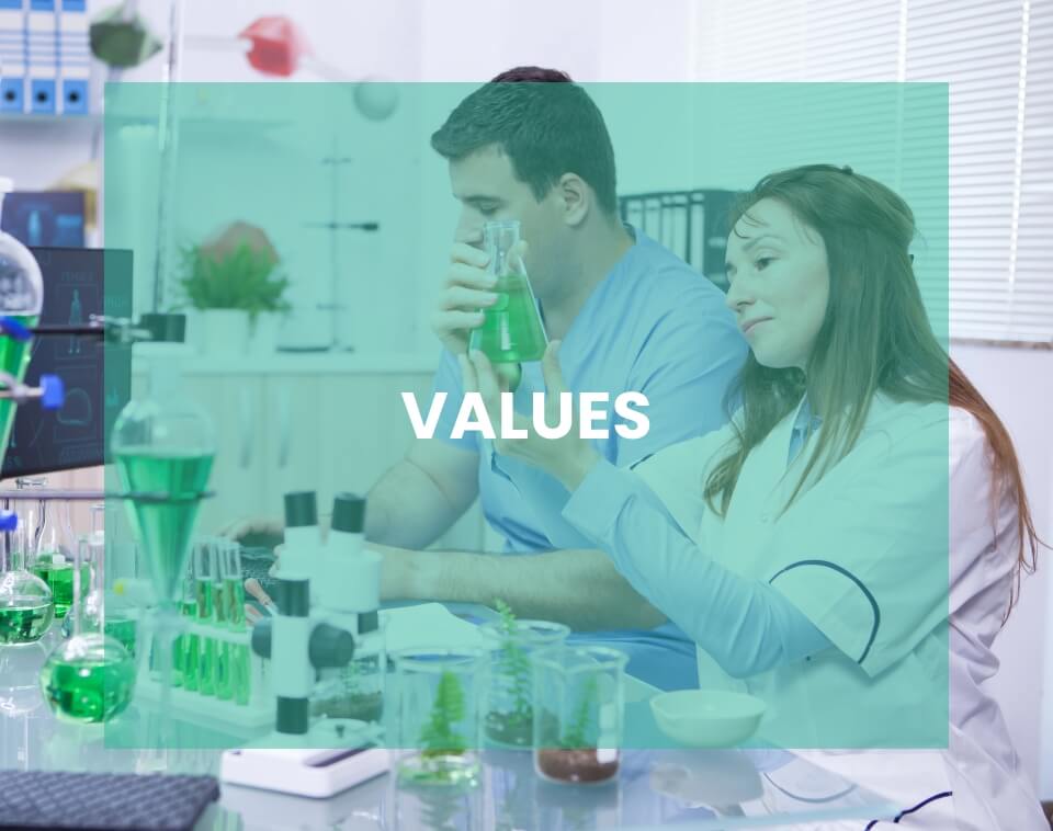 values